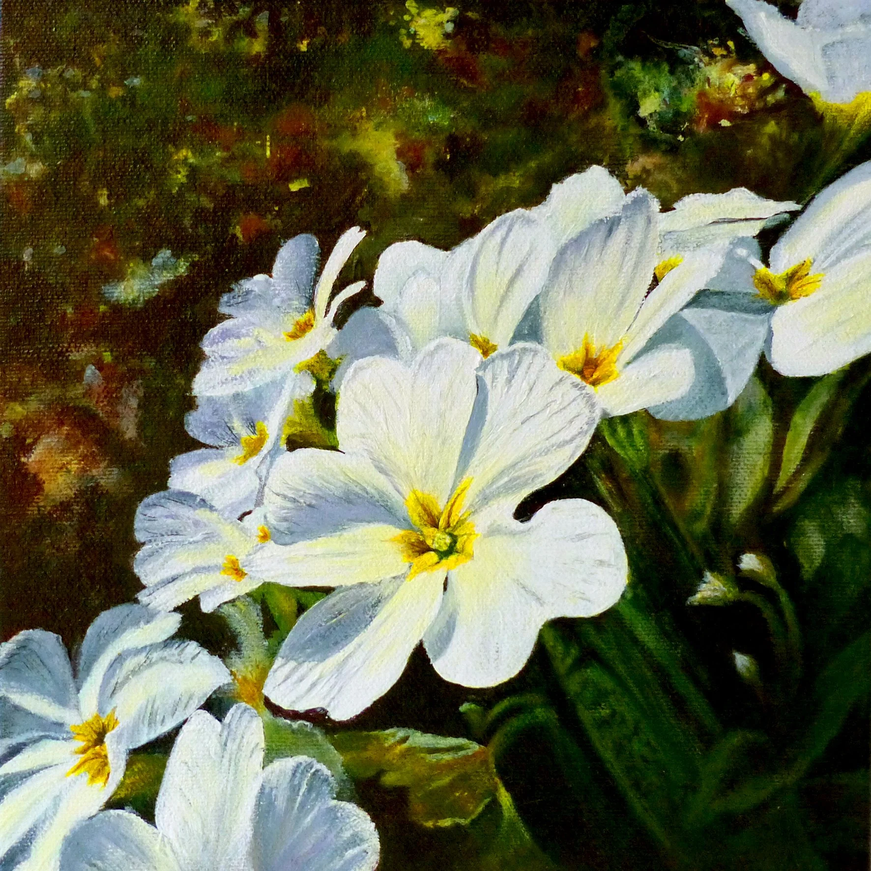 Primroses – Flower Greeting Card — Sarah Elliott Fine Art